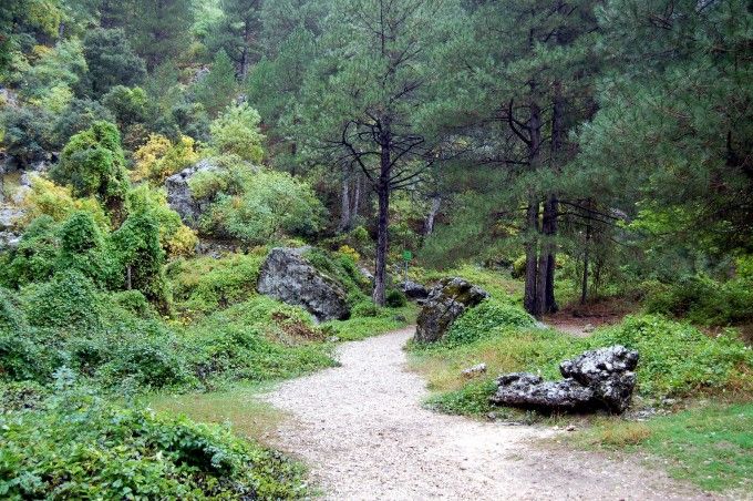 Parque Natural de los Calares del río Mundo y la Sima