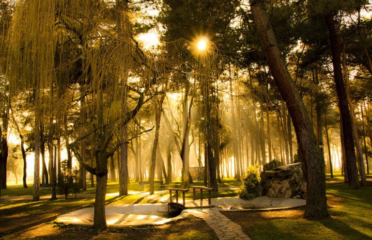 Fotos Que Muestran La Magia Del Camino De Santiago