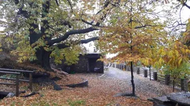 Cortijo Rural El Castañuelo