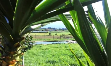 Apartamento Los Tejadillos