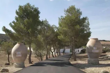 Casa rural Los Cerrillos