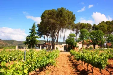 Casa Rural Entreviñedos del Somontano