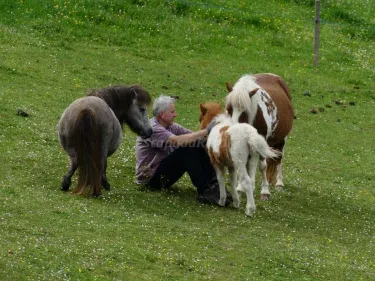 Bagoleko Borda 1 y 2