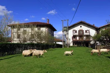 Casa Rural Zapatilenea