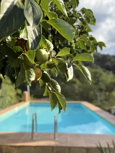 Casa Rural Orilla del Hueznar