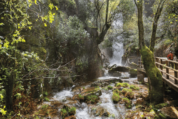 Los 8 pueblos que debes visitar este otoño en Cabañeros