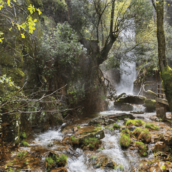 Navalucillos, Cabañeros