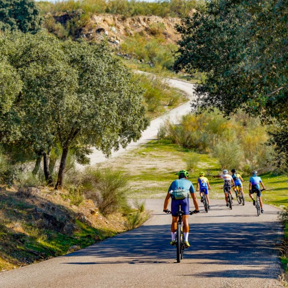 Los campos y las dehesas de Cáceres son ideales para pedalear. Por Javier Flores