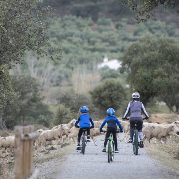 Vía Verde de La Jayona (Badajoz)