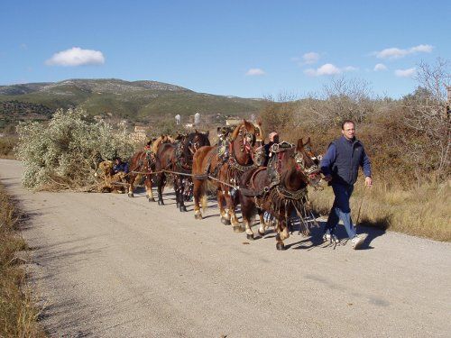 Les Coves de Vinroma turismo rural