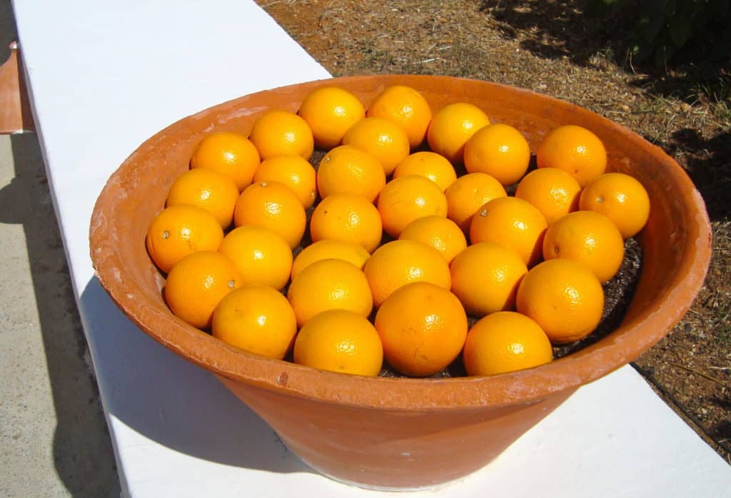 Naranjas ibicencas