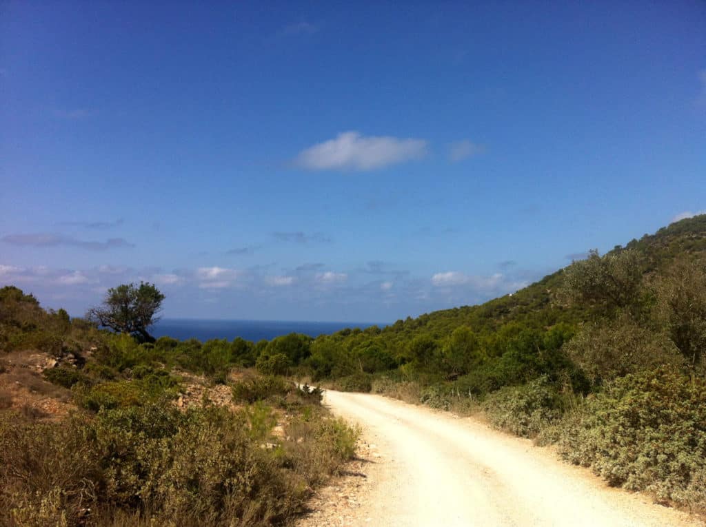 El sendero y el mar, siempre en el horizonte.