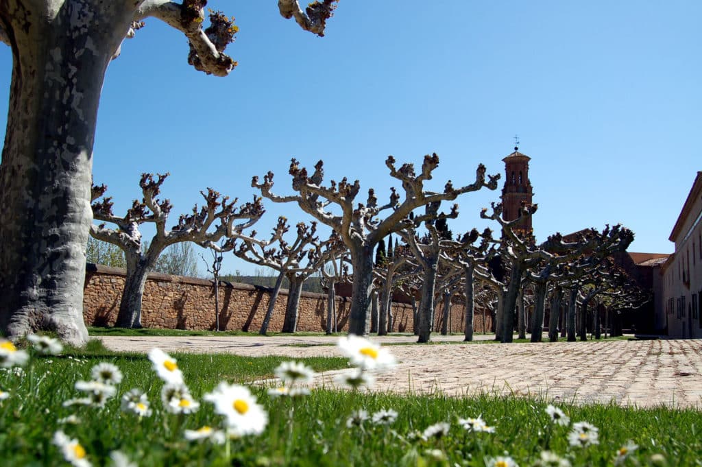 Paseo de entrada al Monasterio de Veruela