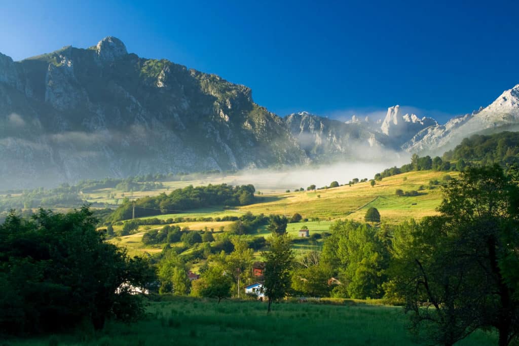 Naranjo de Bulnes