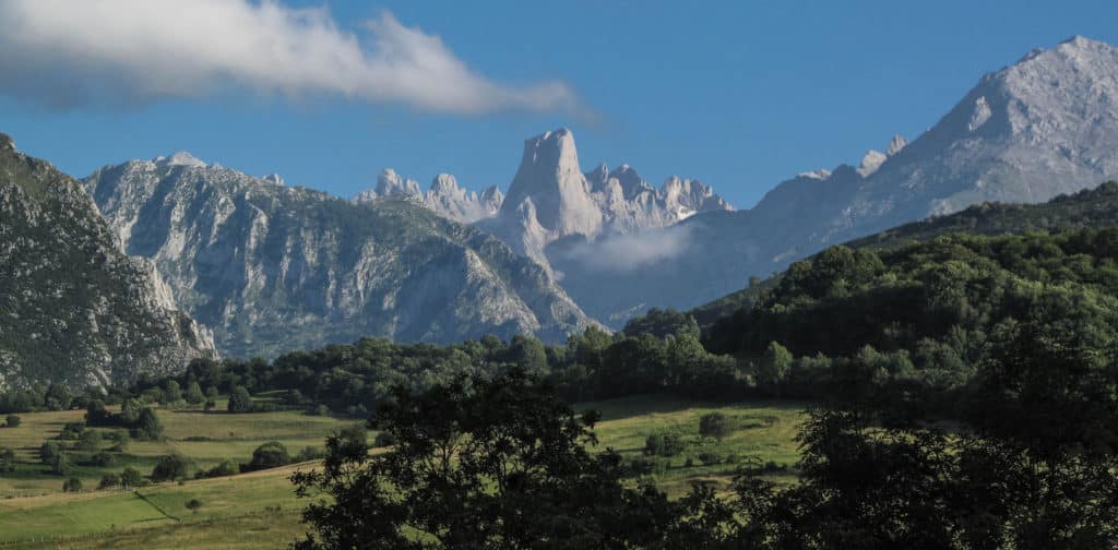 Naranjo de Bulnes