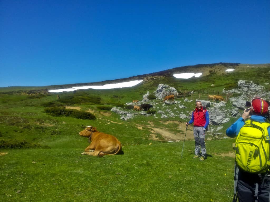 Picos de Europa