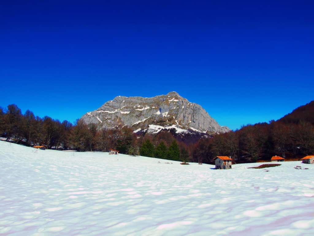 Picos de Europa