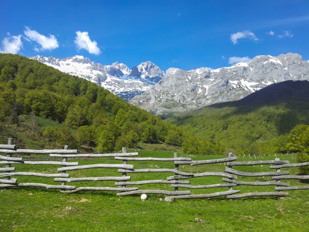 Picos de Europa