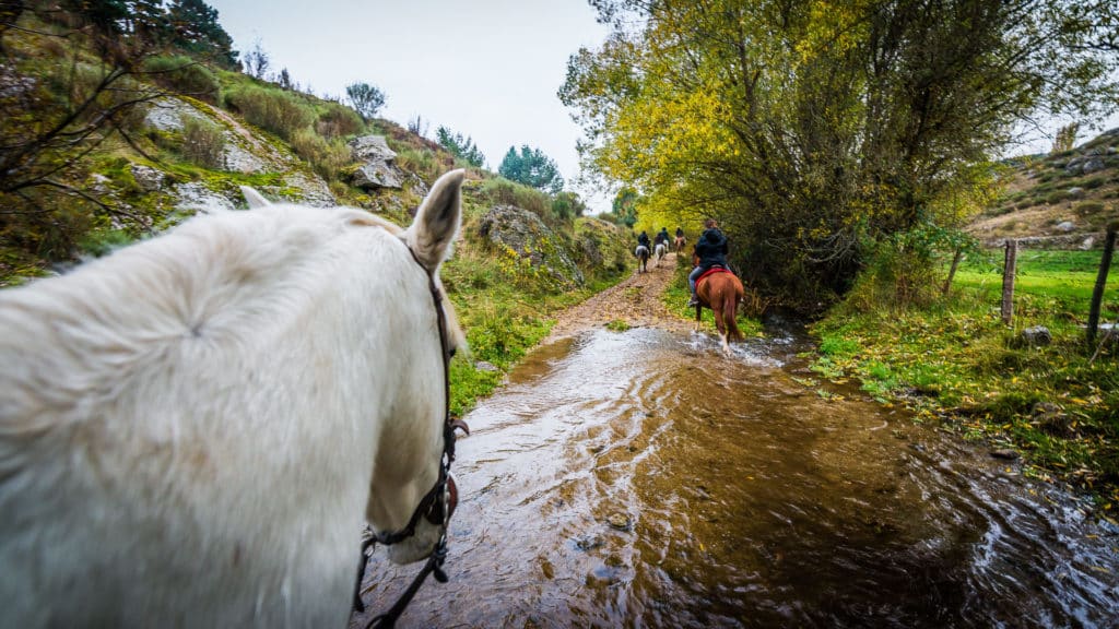 Gredos