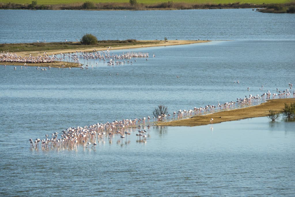 Laguna de Pétrola