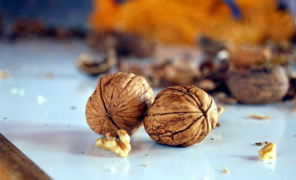 Nueces