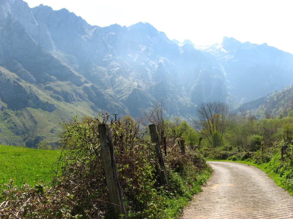 Picos de Europa