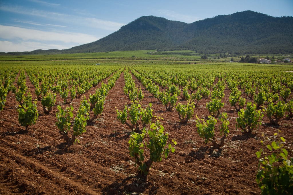 El Valle del Aceniche