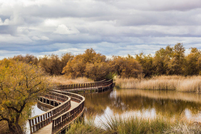 Fuente: ##//commons.wikimedia.org/wiki/File:291114B-_Tablas_Daimiel_-_El_puente_-_Castilla-La_Mancha.jpg##Pablo García Armentano##