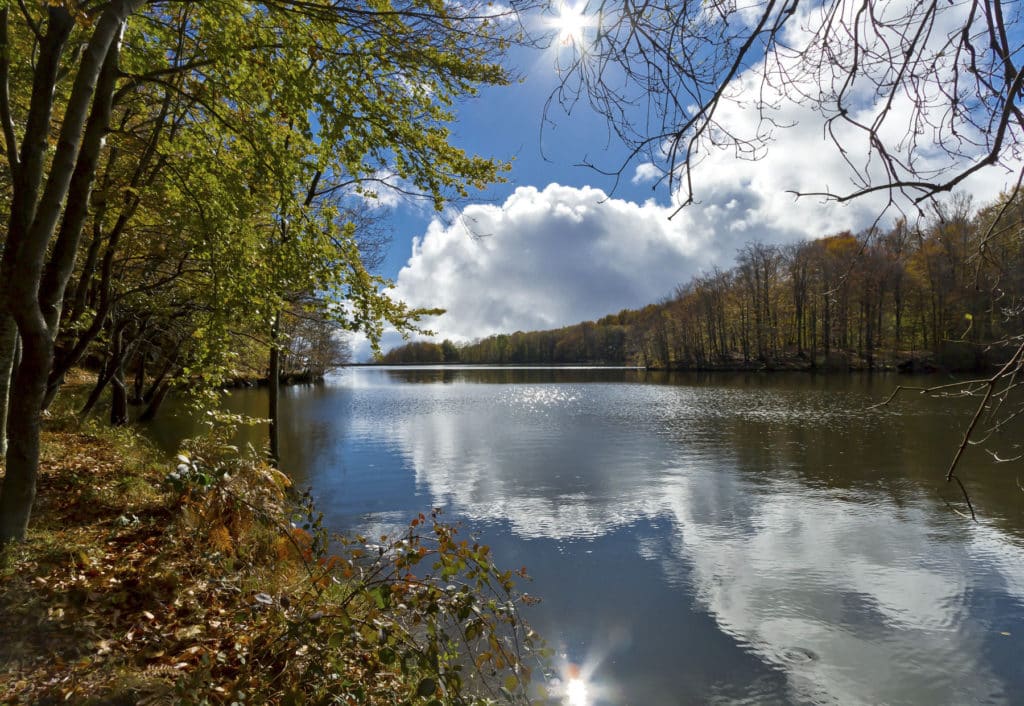 Pantano de Santa Fe del Montseny