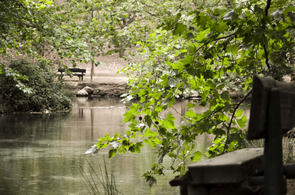 Fuentes del Marqués