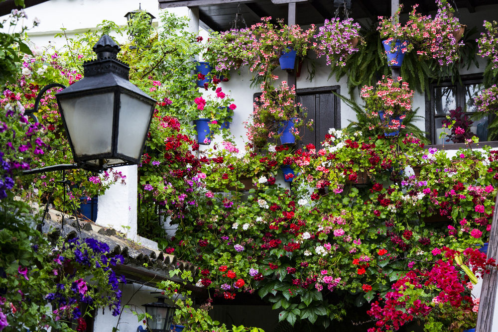 30 Fotos para enamorase de los patios cordobeses