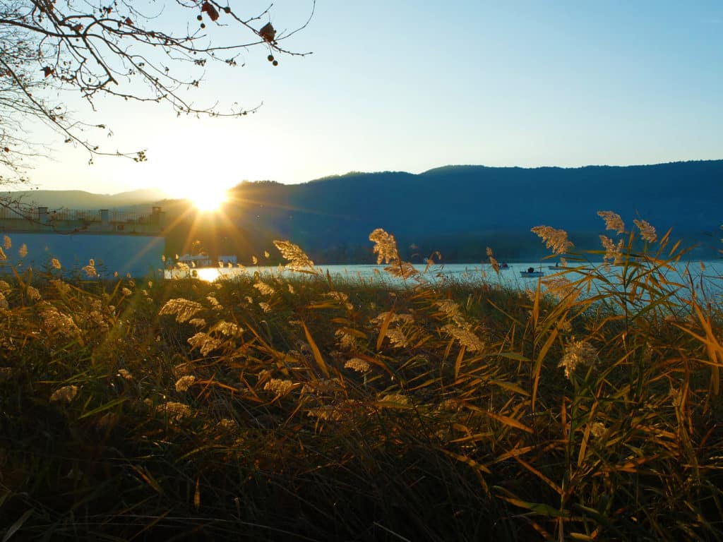 Estany de Banyoles