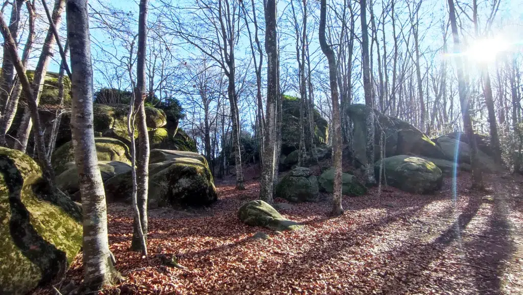 Excursión a las Rocas Encantadas de La Garrotxa