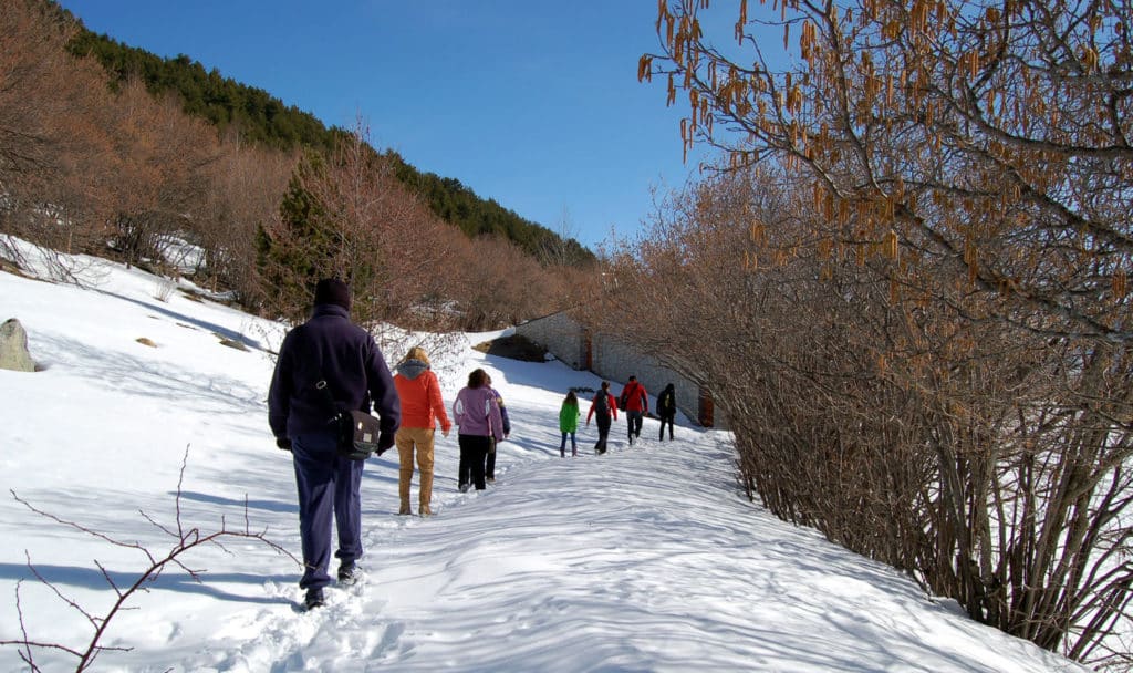 Pirineus