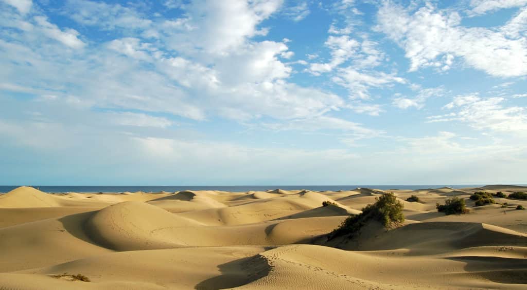 Dunas de Gran Canaria