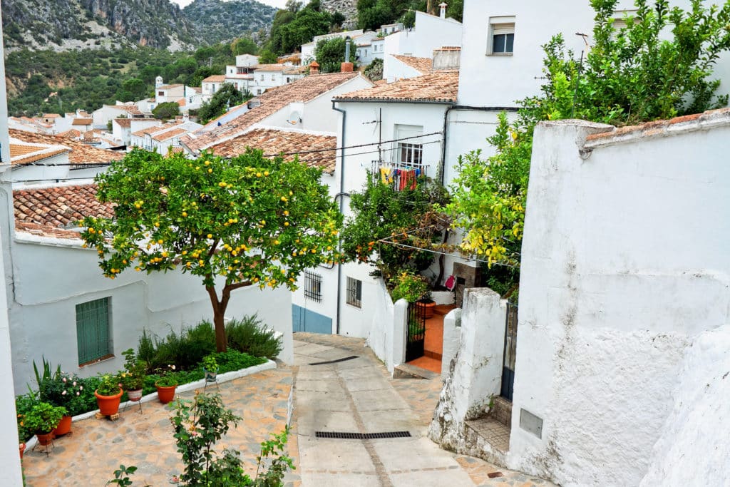 Setenil de las Bodegas