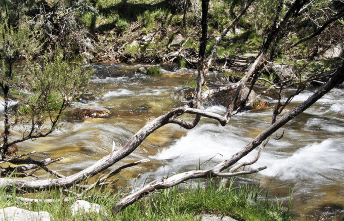 6 rincones naturales para huir del calor de Madrid