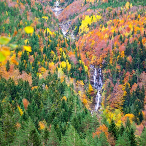 http://www.shutterstock.com/es/pic-178170650/stock-photo-autumn-bujaruelo-ordesa-waterfal-in-colorful-fall-forest-pyrenees-aragon-huesca-spain.html?src=_CiXdZGNSA4V6XzseiVoxQ-2-18