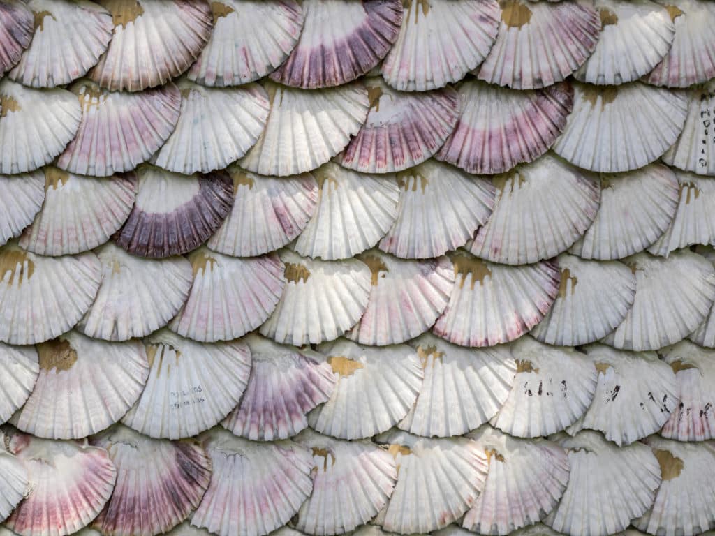 texture detail of  facade chapel covered of scallop shells on Toja Island, Galicia, Spain.