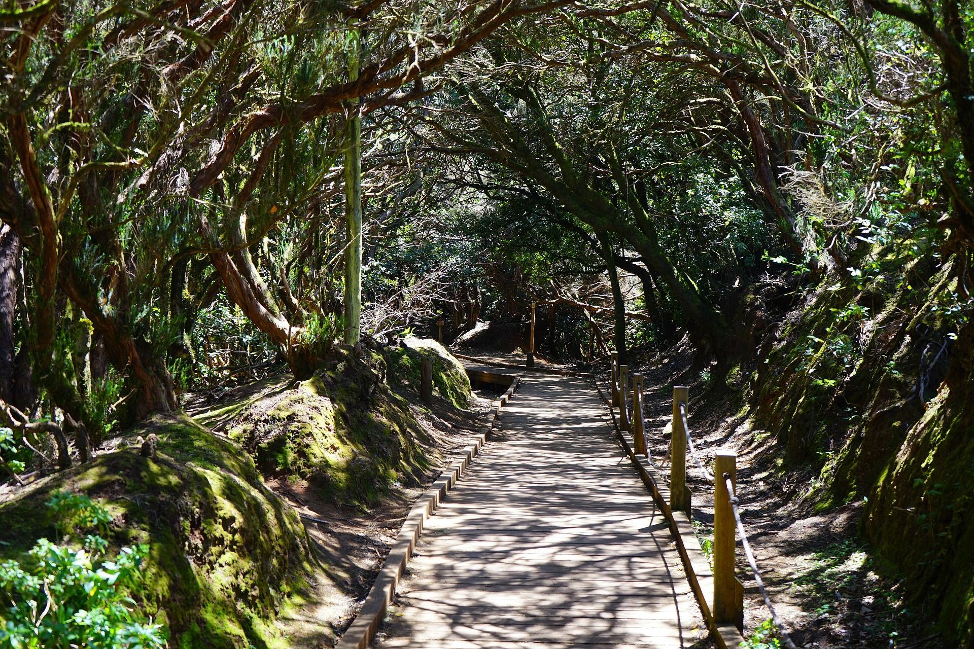 Sendero de los Sentidos