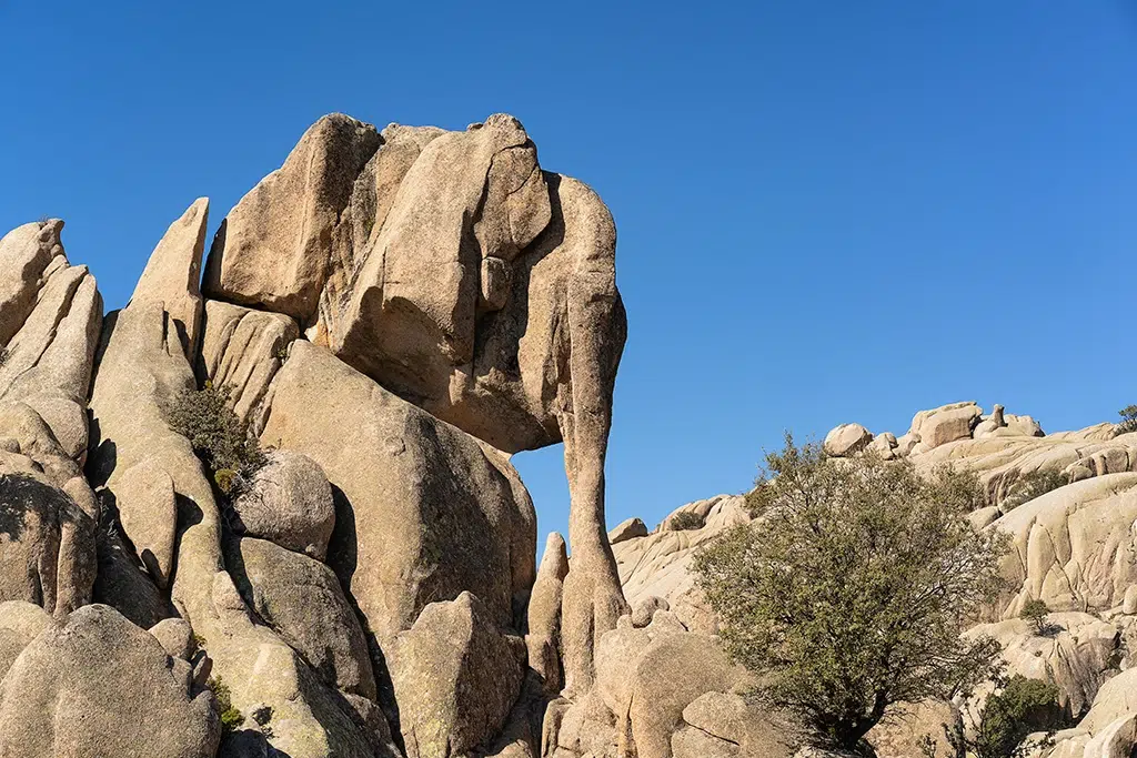 Piedra con forma de elefante en La Pedriza en la Sierra Norte de Madrid