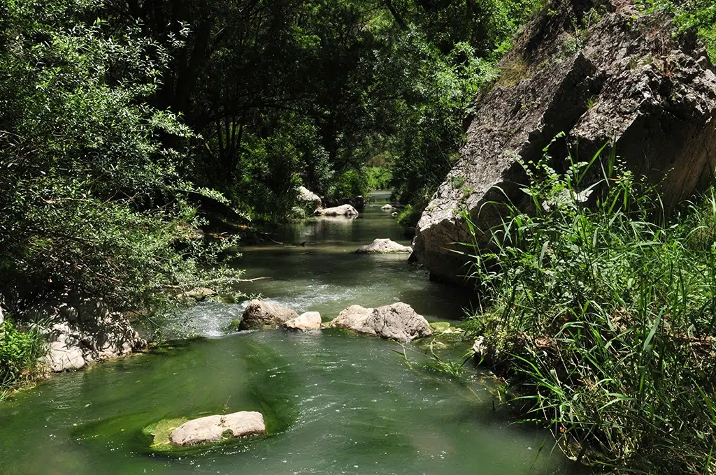 Río Velilla