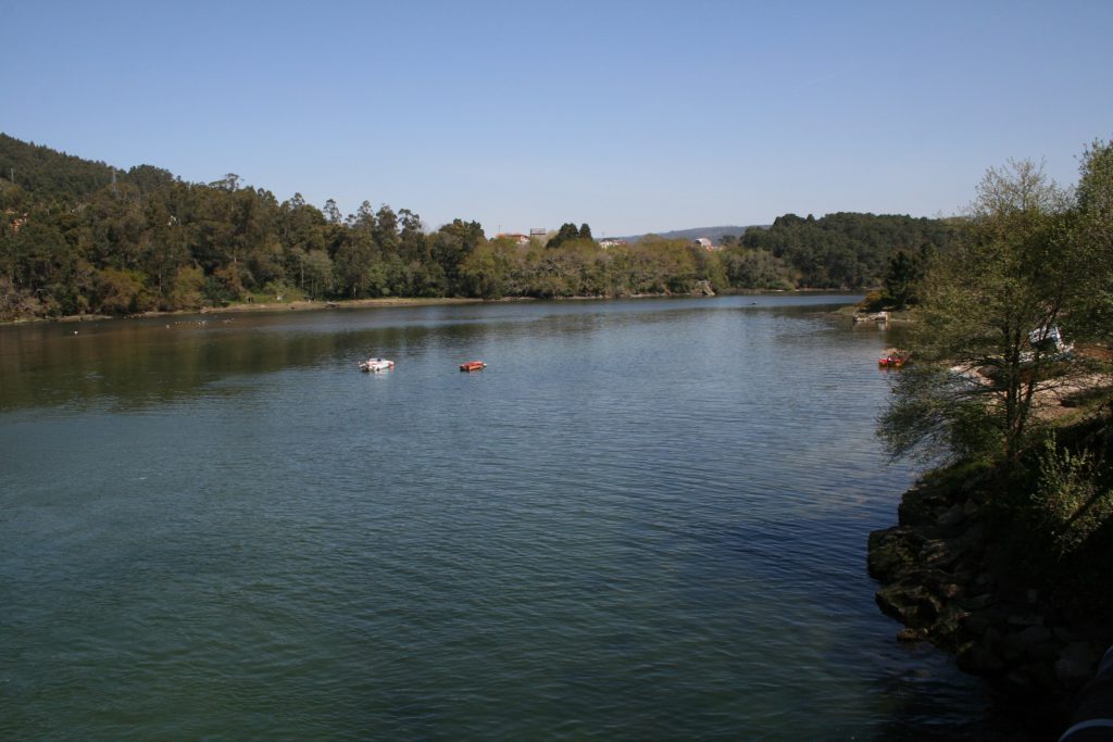 Estuario rio Coroño