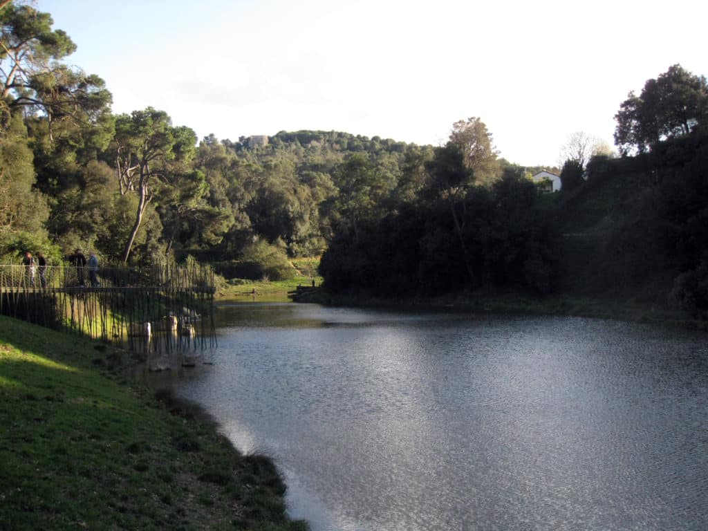 embalse de Vallvidrera