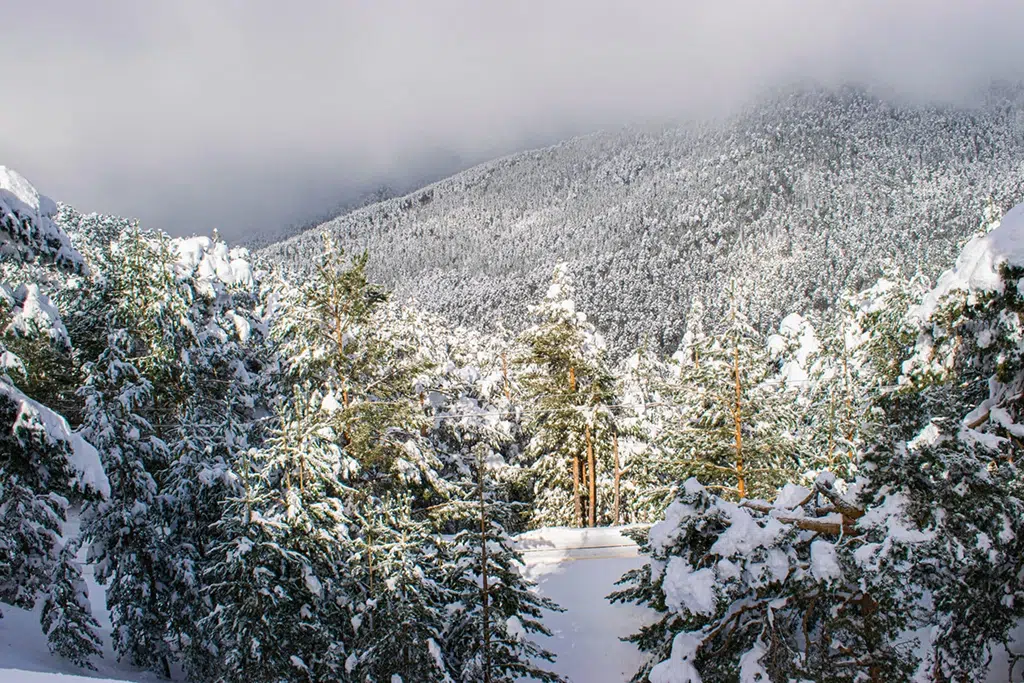 El puerto de Navacerrada.