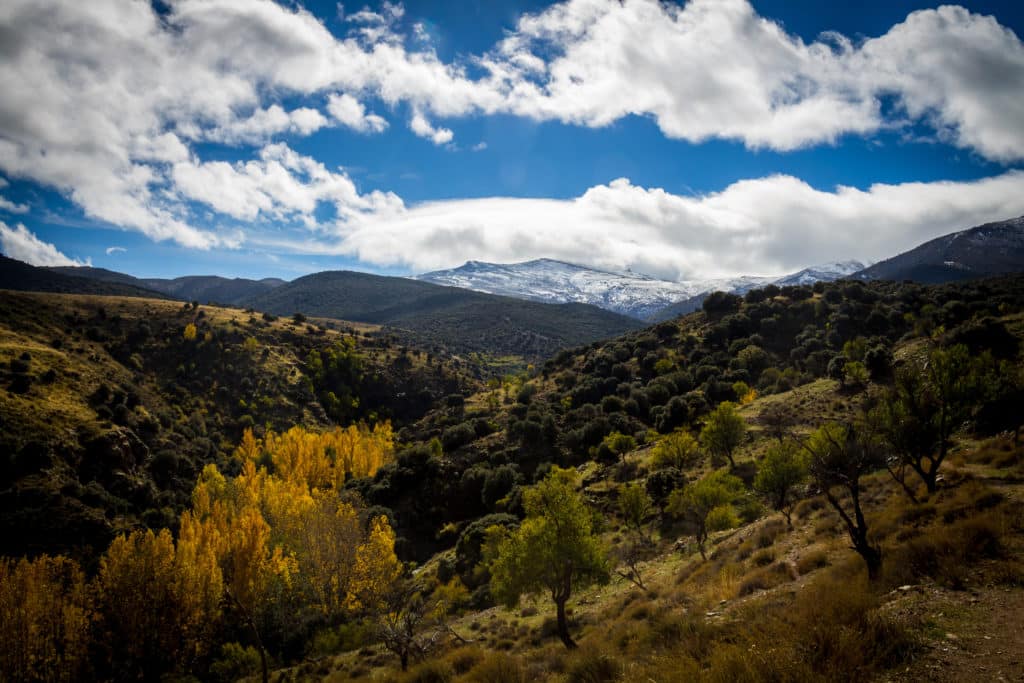 Bosque Encantado del Camarate