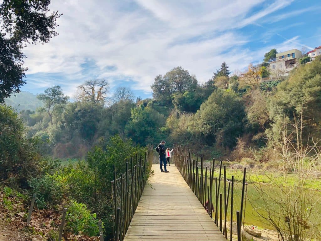 Pantano de Vallvidrera