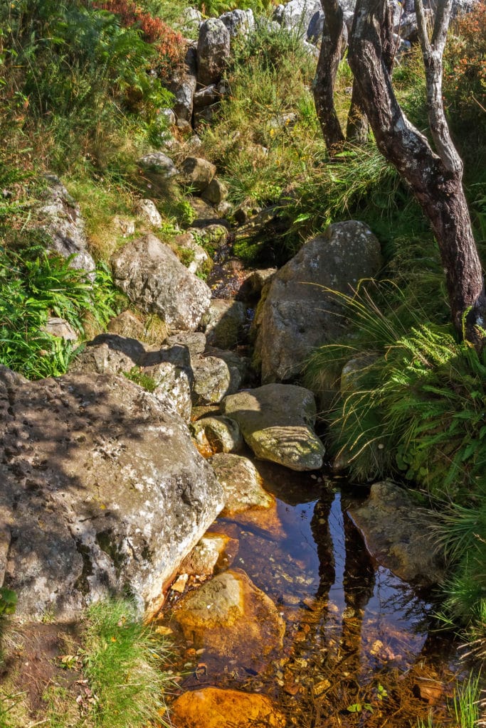 El río Miño en su nacimiento en el Pedregal de Irimia, Lugo, Galicia, España