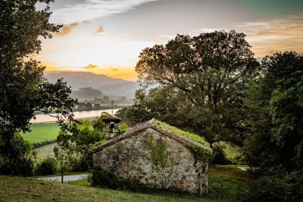 Encina Colindres, árbol del año