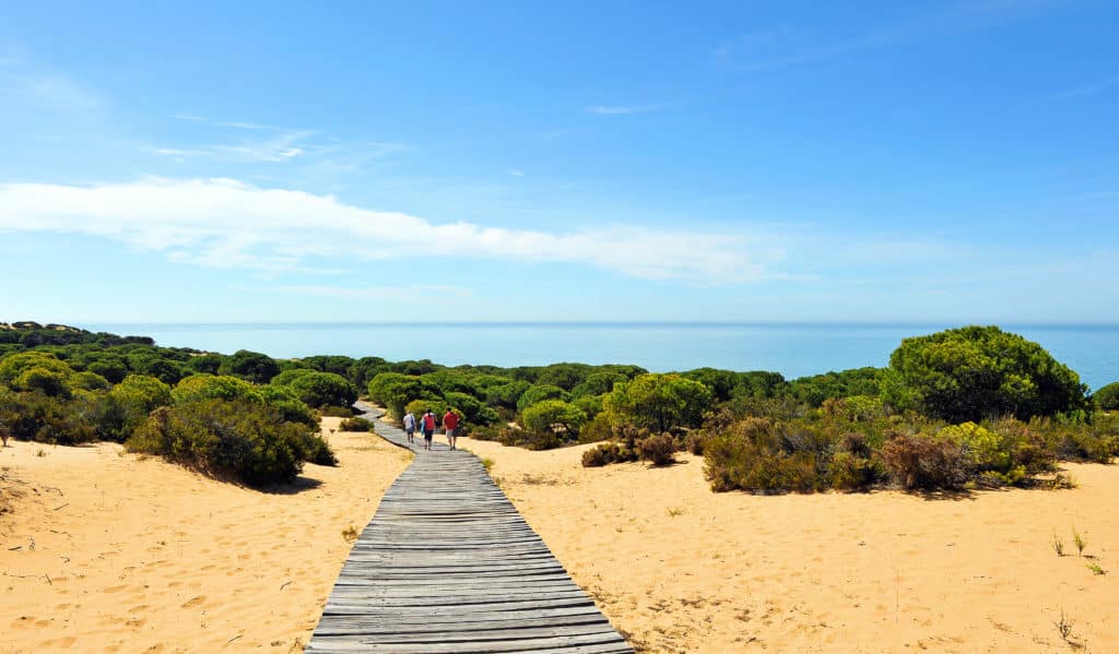 Parque Nacional de Doñana